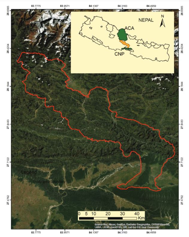 Description of image