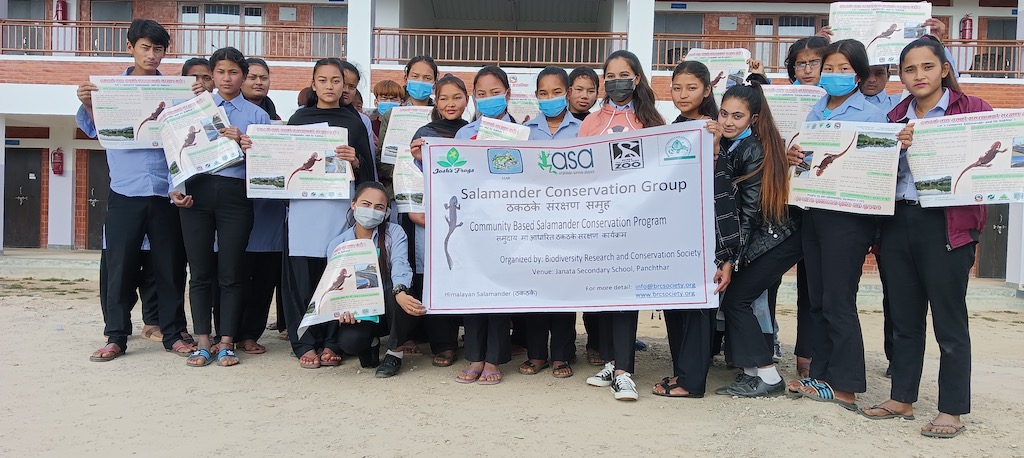 Community-based salamander conservation project