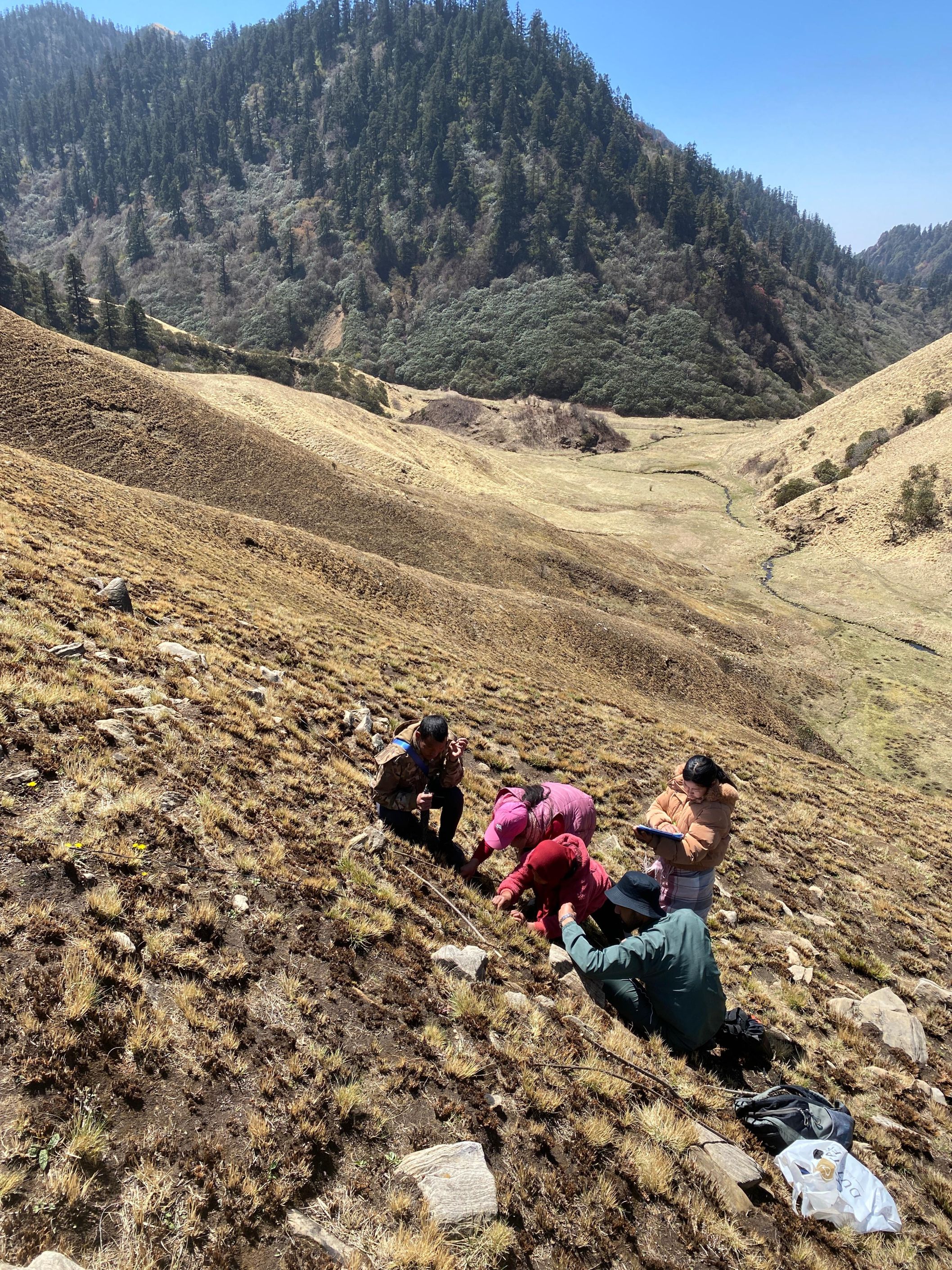 Developing a baseline for biodiversity monitoring in Thabang Rural Municipality, Rolpa, Nepal