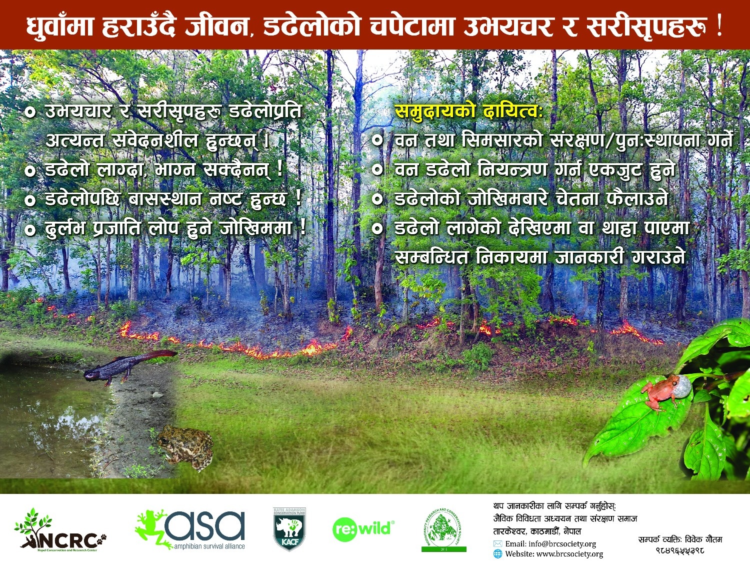 Wildfire impact on Amphibians: A Community engaged Conservation in Nepal.